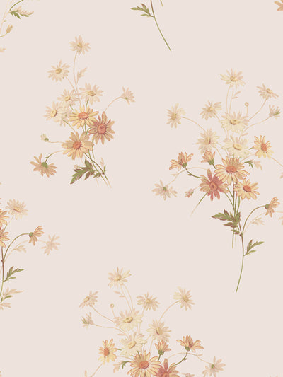 Cream Blush Daisy Bouquet Wallpaper