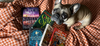 Piglet Picks: The Fall Read List