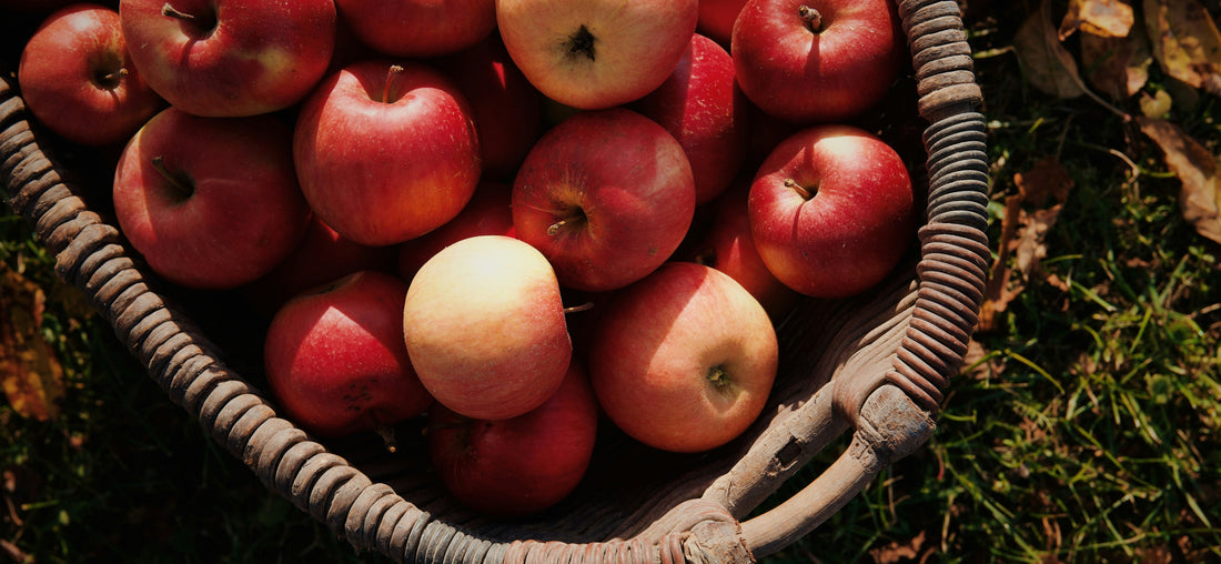 Fall Apple Crisp