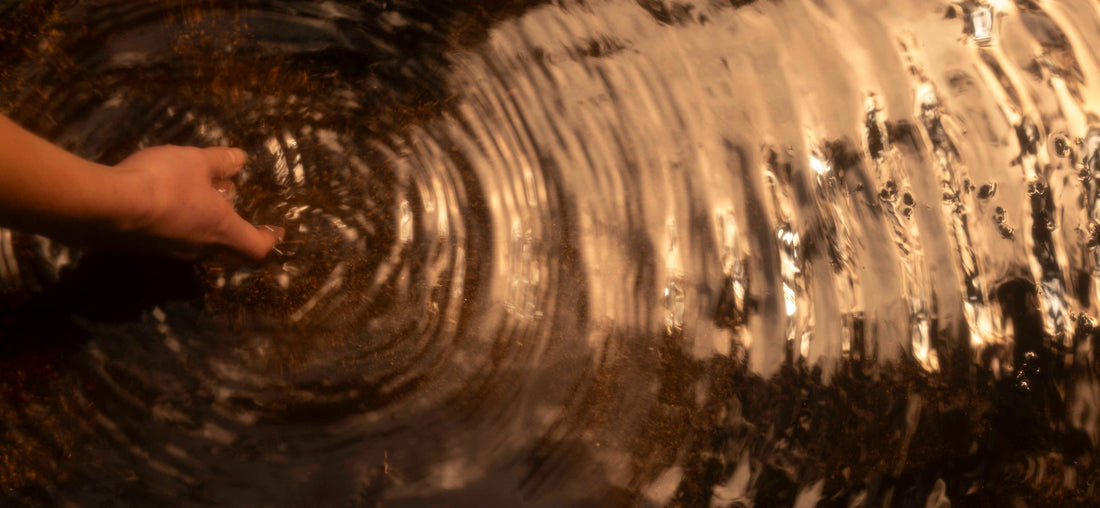 Introducing Wallow: Our New Bath & Body Brand