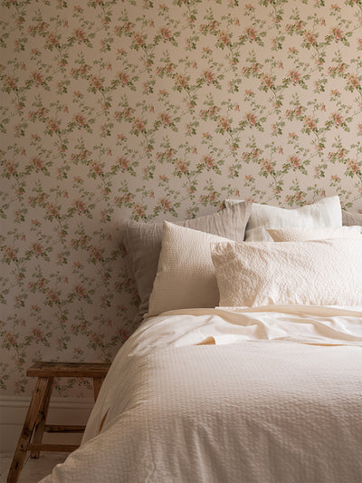 Cream Blush Field Rose Wallpaper - alternate image