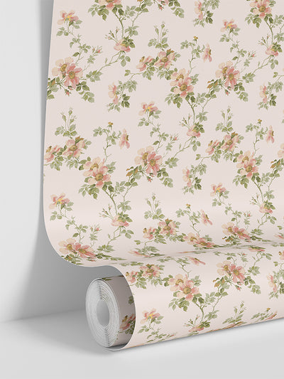 Cream Blush Field Rose Wallpaper