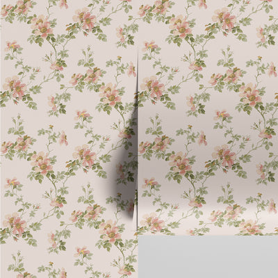 Cream Blush Field Rose Wallpaper - alternate image