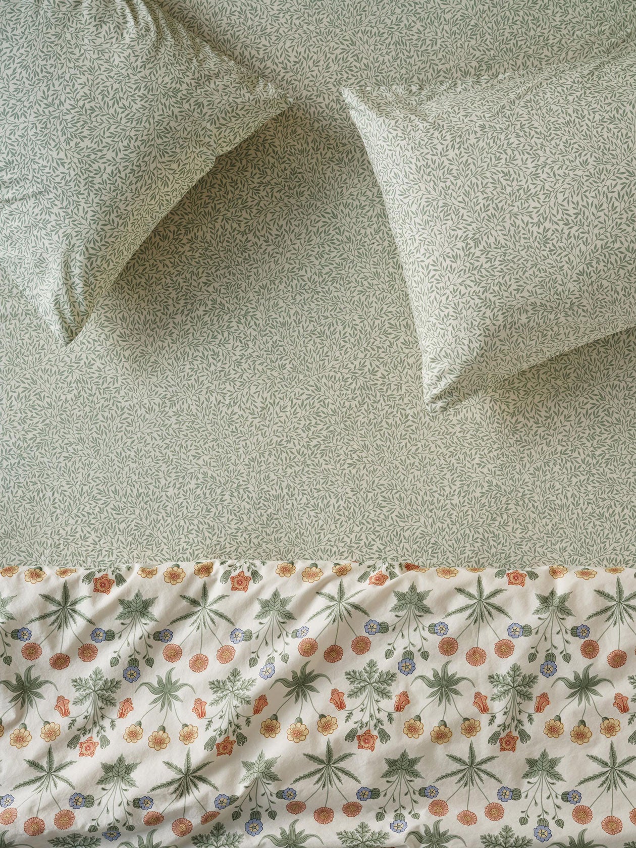 Mellow Green Standen Cotton Fitted Sheet Queen Size