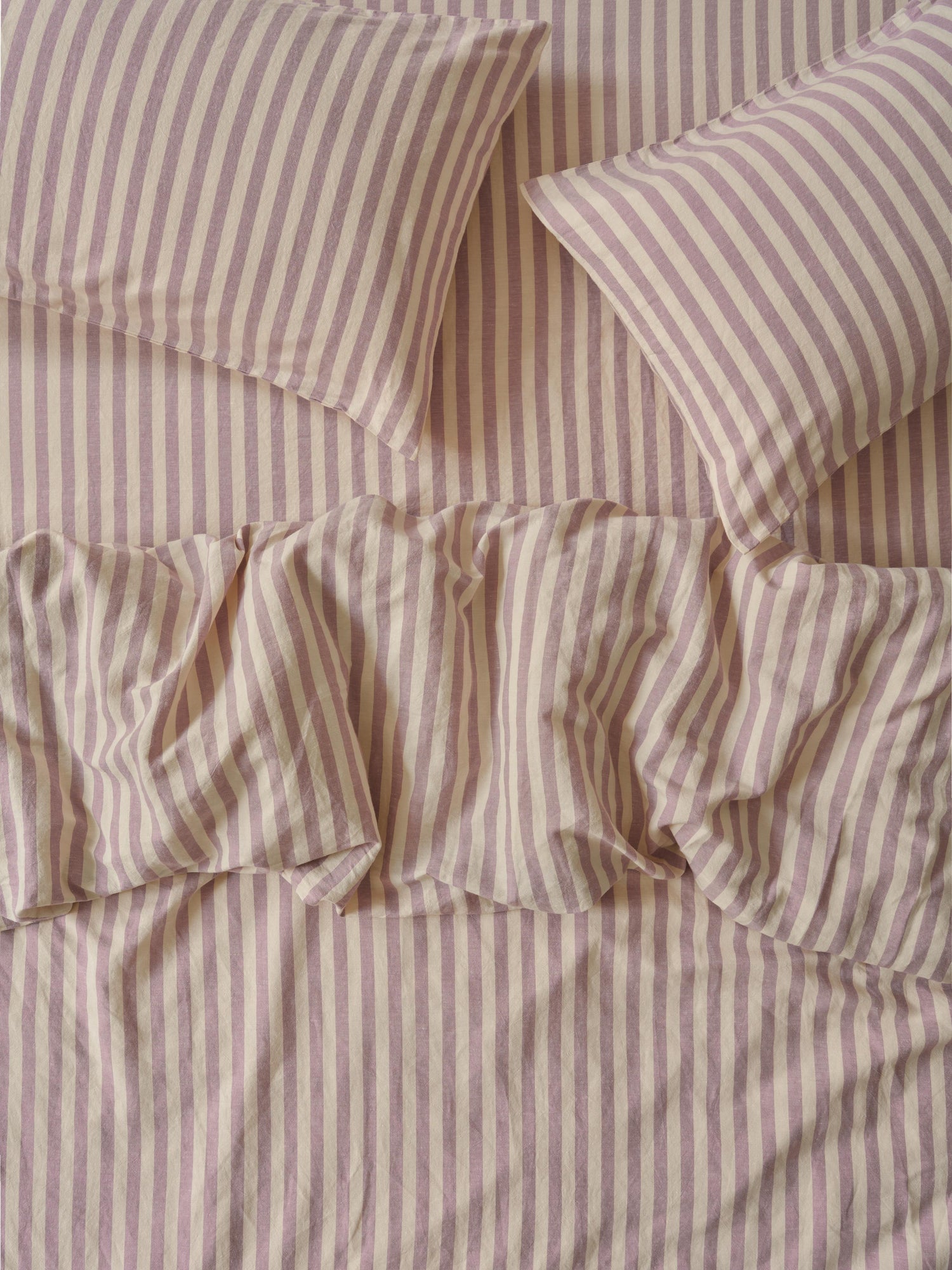 Elderberry Pembroke Stripe