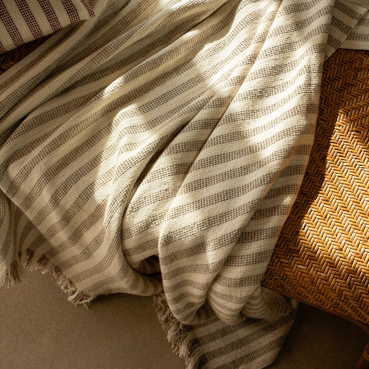 Blankets and Throws