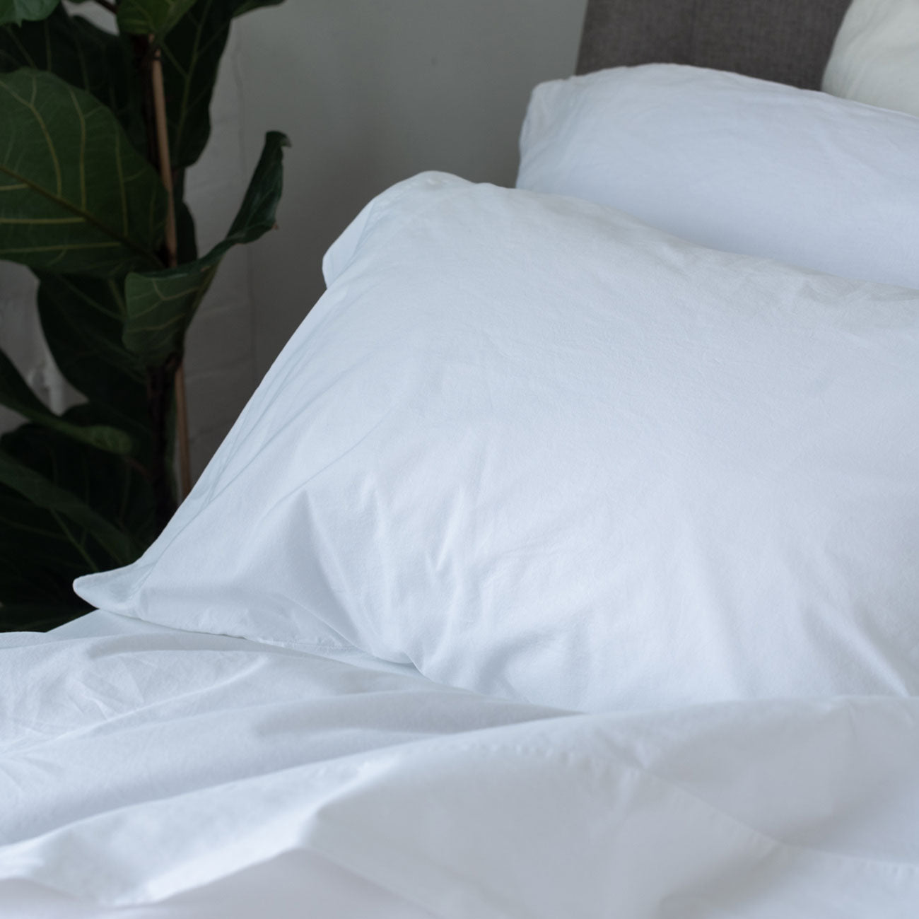 White Washed Percale Cotton Fitted Sheet